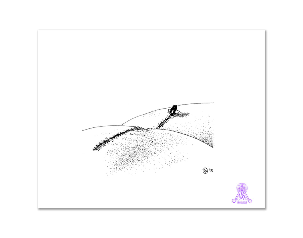 B the Bear // Wander the White Desert // Eco Print